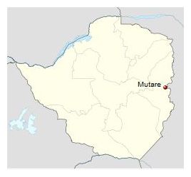 Mutare