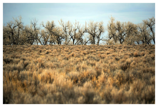 Click to enlarge Sand Creek View