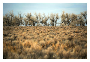 Click to enlarge Sand Creek View
