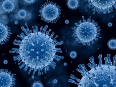 norovirus
