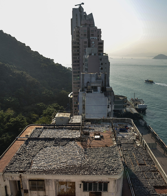 Click to enlarge Sharks Fin_6