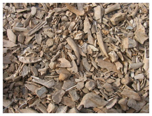 Click to enlarge Cattle Bones