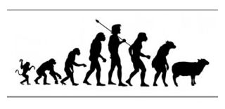 Click to enlarge Evolution