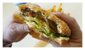 Horse Burger