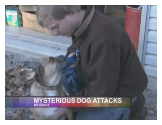 Mystery Dog Attacks