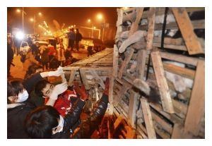 Cats Rescued