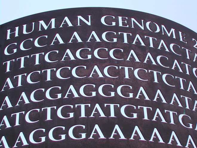 Genome