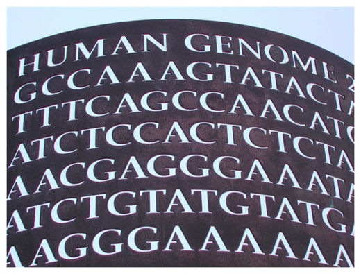 Genome