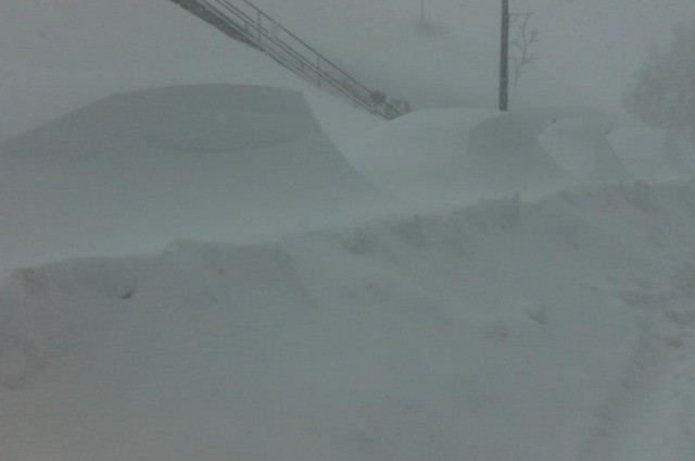 Where's my Car?
