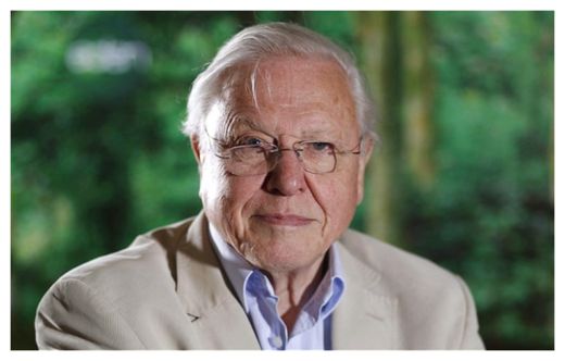David Attenborough