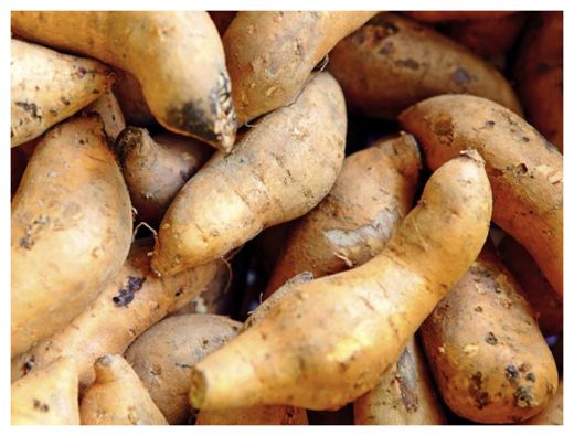 Click to enlarge Sweet Potatoes