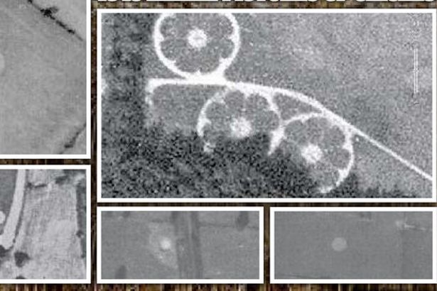 Crop Circle