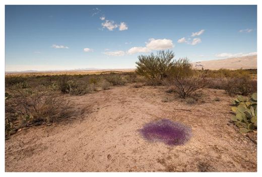 Click to enlarge Mystery Purple Spheres