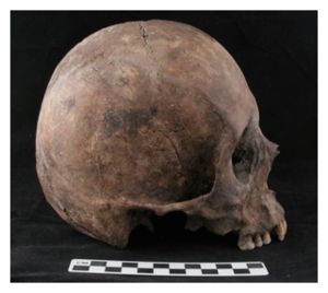 Aztec Skull