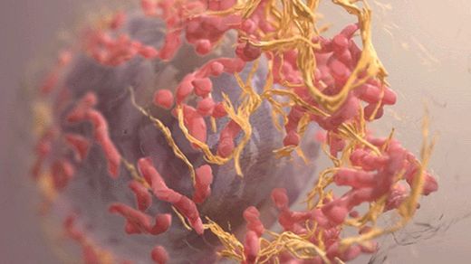 mutaciones que causan cáncer