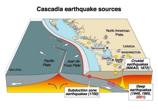 Cascadia subduction zone