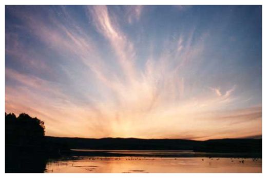 Cirrus Clouds