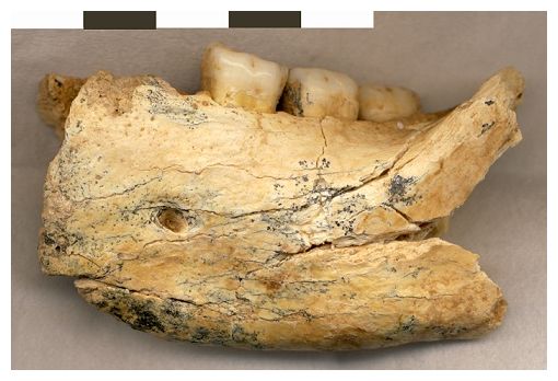 Click to enlarge Jawbone