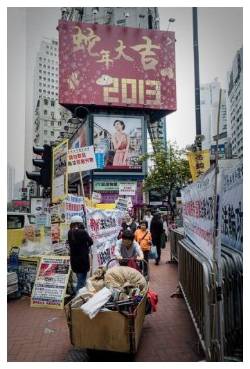 Click to enlarge Year of the Snake_4