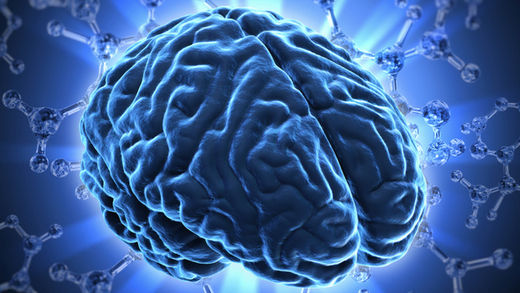 Brain-cerveau