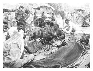 Mass Sterilisation