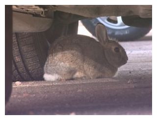 RAbbit