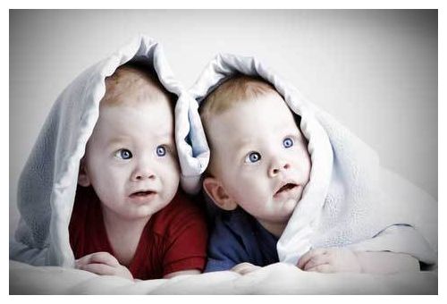 Twins