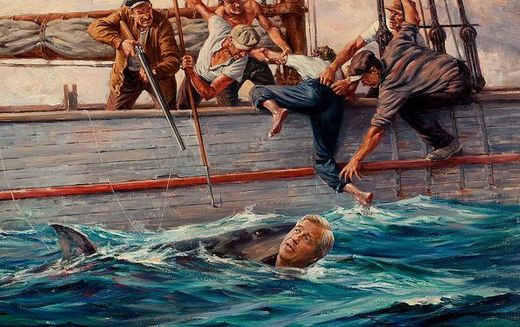 Click to enlarge sharks guns