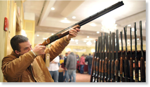 Click to enlarge guns