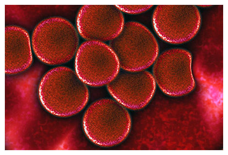Blood Plasma