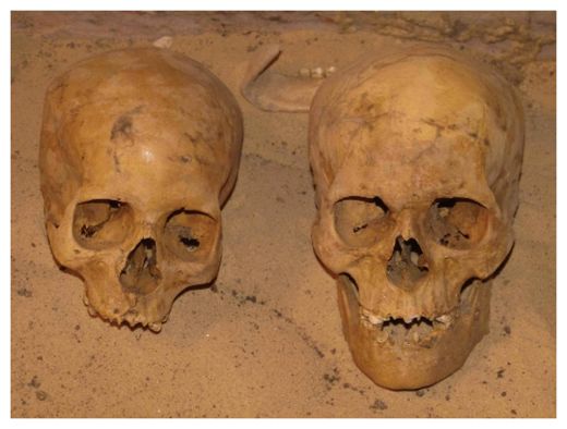 Ancient Skulls