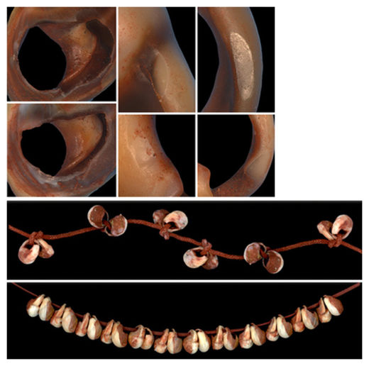 Ancient Shell Beads