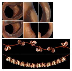 Click to enlarge Ancient Shell Beads