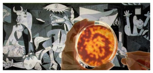 Petri Dish