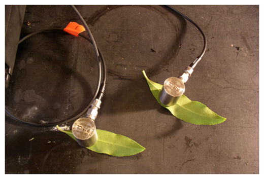 Click to enlarge Acoustic Sensors