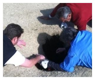 Click to enlarge Hole in One