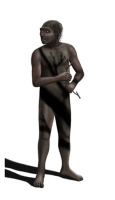 Click to enlarge Early Humans