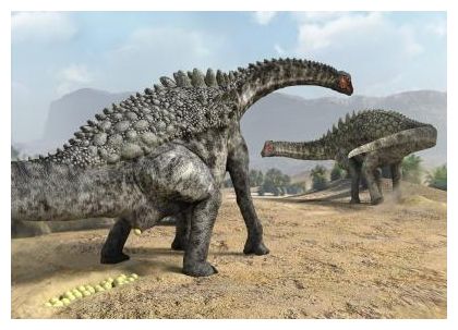 Sauropod