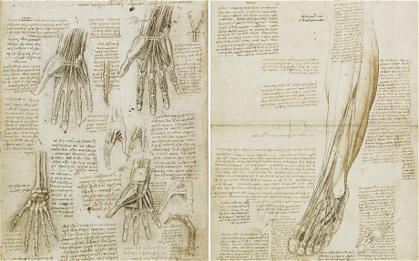 Leonardo_2