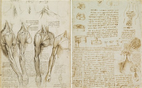 Leonardo_3