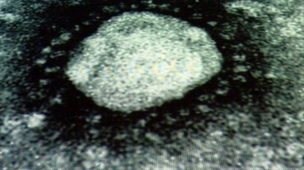 Coronavirus: Is this the next pandemic? Coronavirus: Is this the next pandemic?