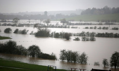flooded fields
