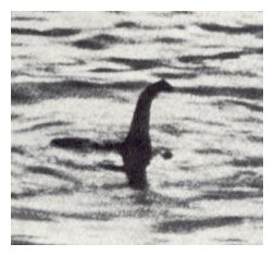 Nessie