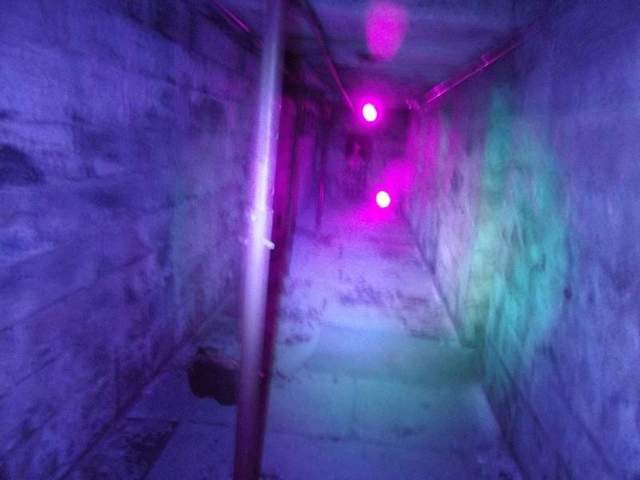 Click to enlarge Haunted Dungeon