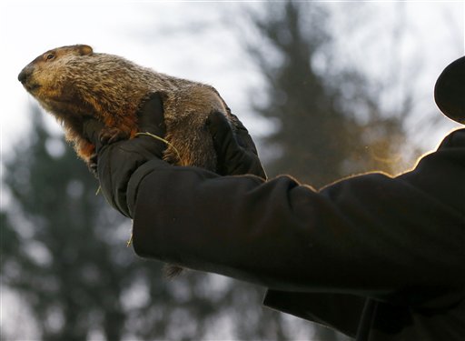 GroundHog