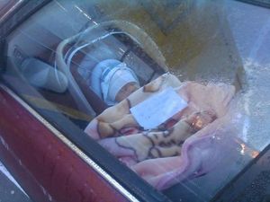 A mother left her baby in her car 