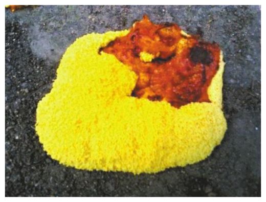 Yellow Thingy