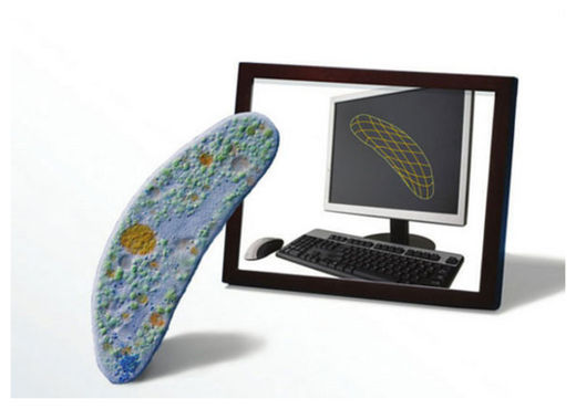 Click to enlarge Biological Computer