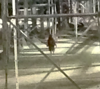 Unknwon Entity_2