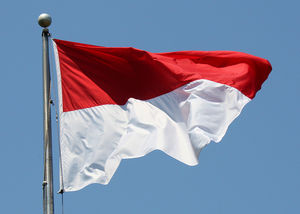 Indonesia flag